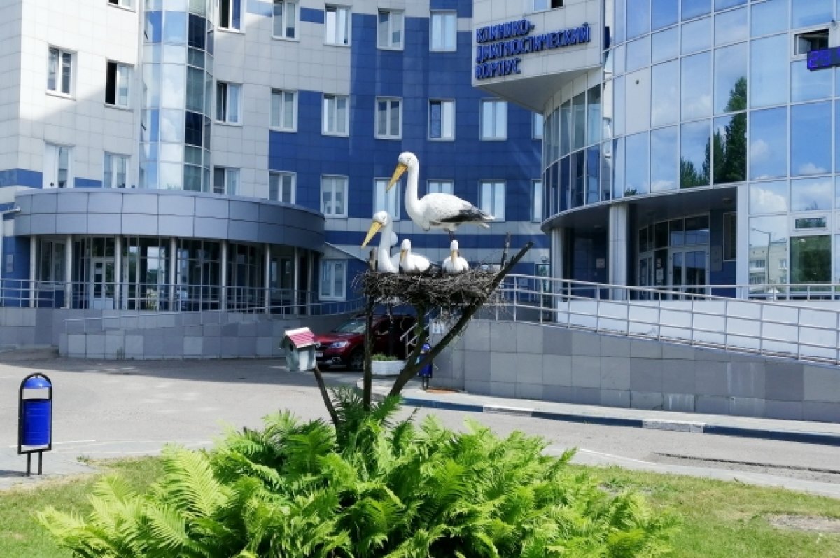    В прошлом году на свет появились 9 тыс. маленьких ярославцев, в том числе и в перинатальном центре.