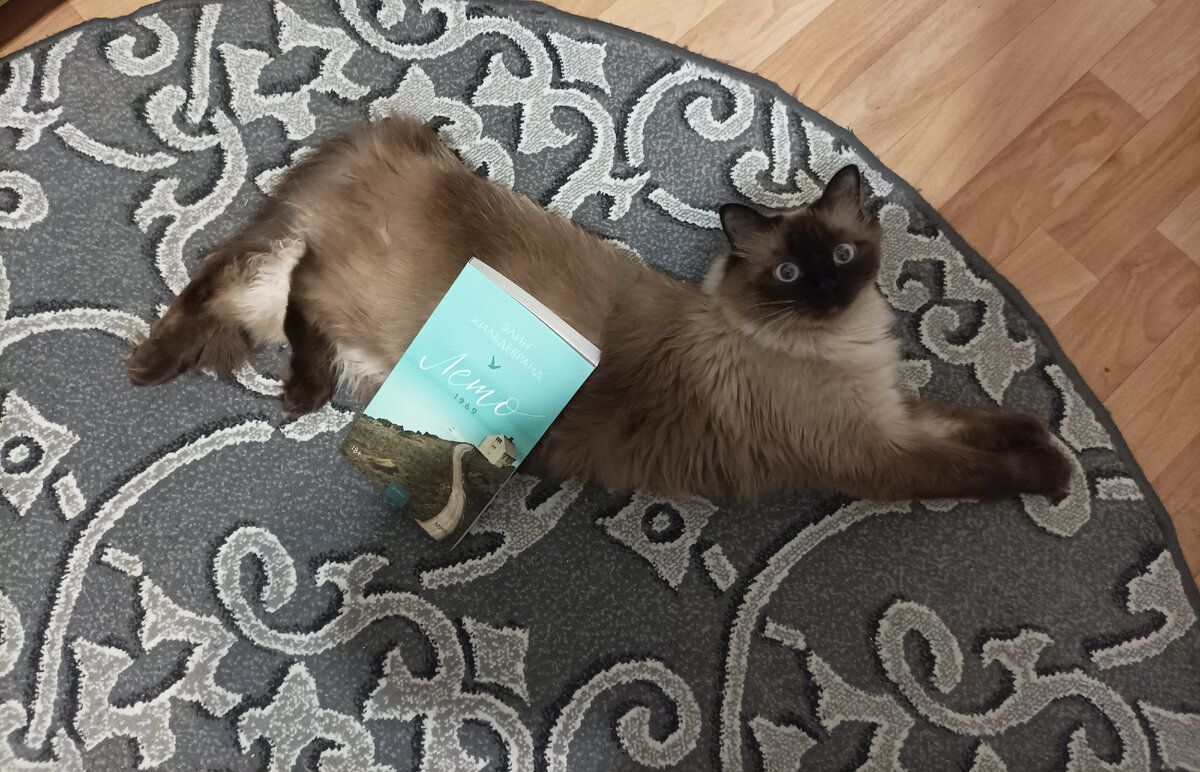 Сегодня книгу лета 2023 ( в плане того, что летом её не купил разве ленивый) из сети магазинов Fix Price представляет тезка одной из главных героинь, Джессика, в режиме "Сова, медведь пришёл! " (в него она входит, когда удивляется и сильно выпучивает глаза) 