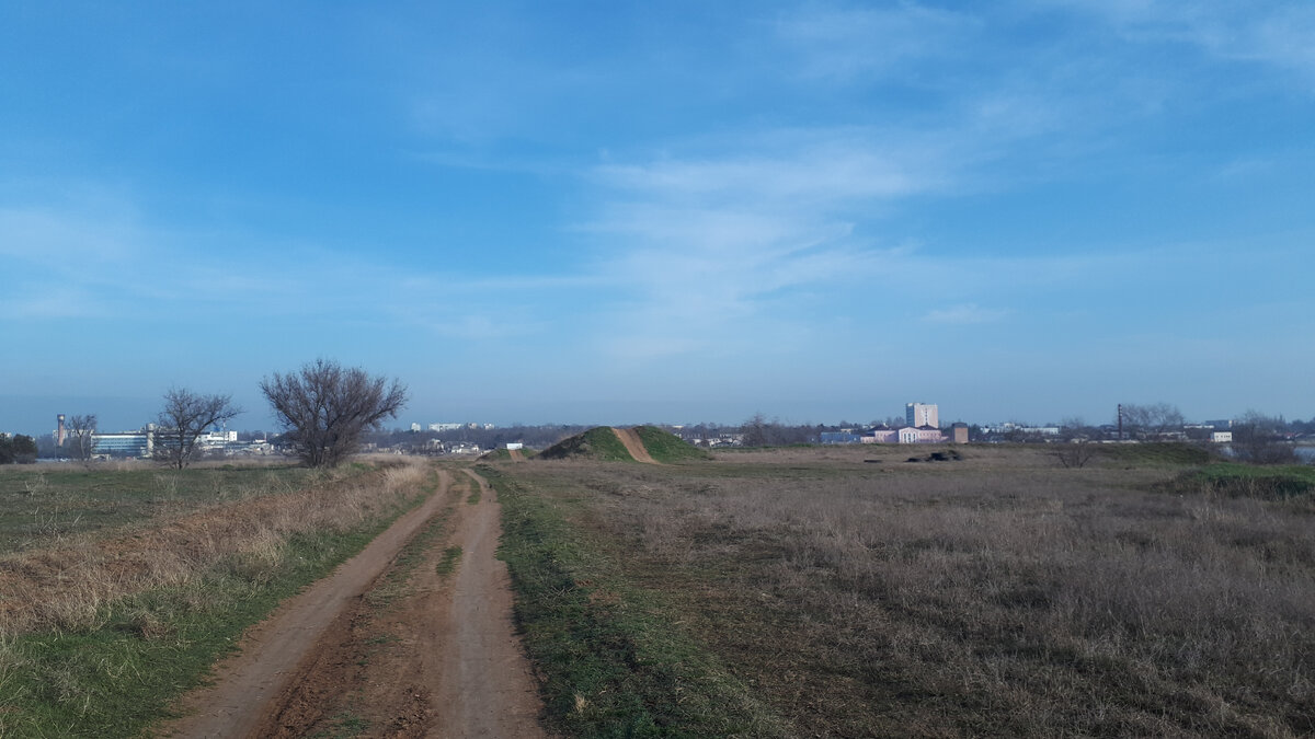 Гуляем здесь утром с Тайсоном. Вдалеке город Саки виднеется.
