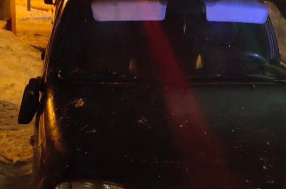    В Пензе задержали хулигана, который повредил зеркала двух автомобилей