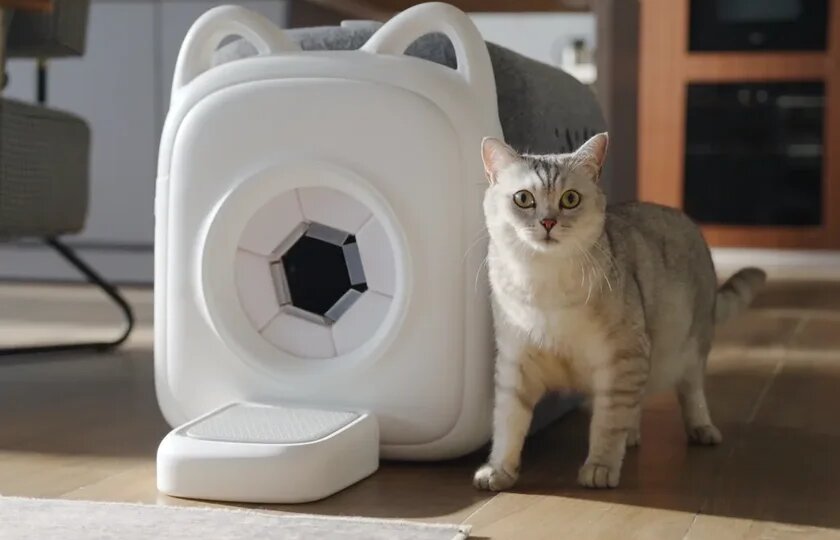 Дом для котов с вычесывателем шерсти произвел фурор у кошкоманов