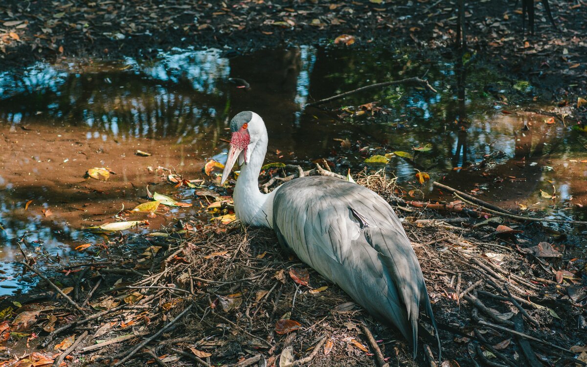 Фото с бесплатного фотостока https://unsplash.com, автор Michael Hutchinson