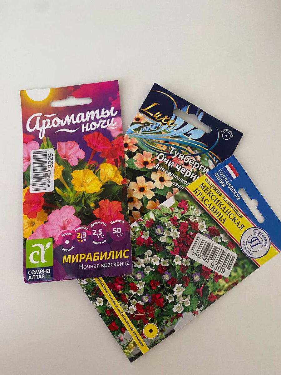 Семена Мирабилис, тунбергии и азарины лазающих