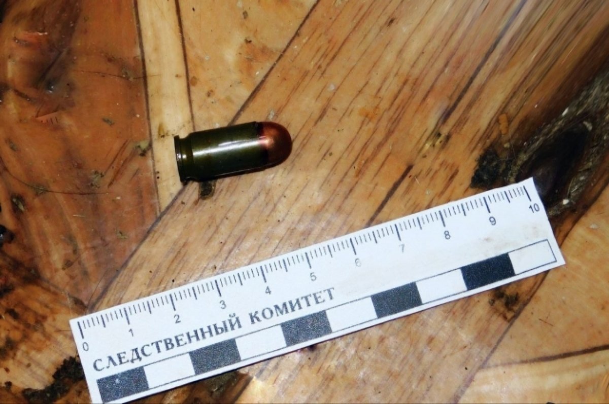    В Твери женщина разрешила ссору с мужчиной, выстрелив тому в грудь