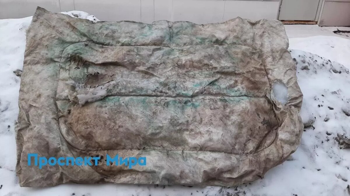     В Красноярске жители Мира, 124 пожаловались на «полчище крыс» во дворе. Территория дома находится в непосредственной близости от Красноярской межрайонной детской больницы № 1.