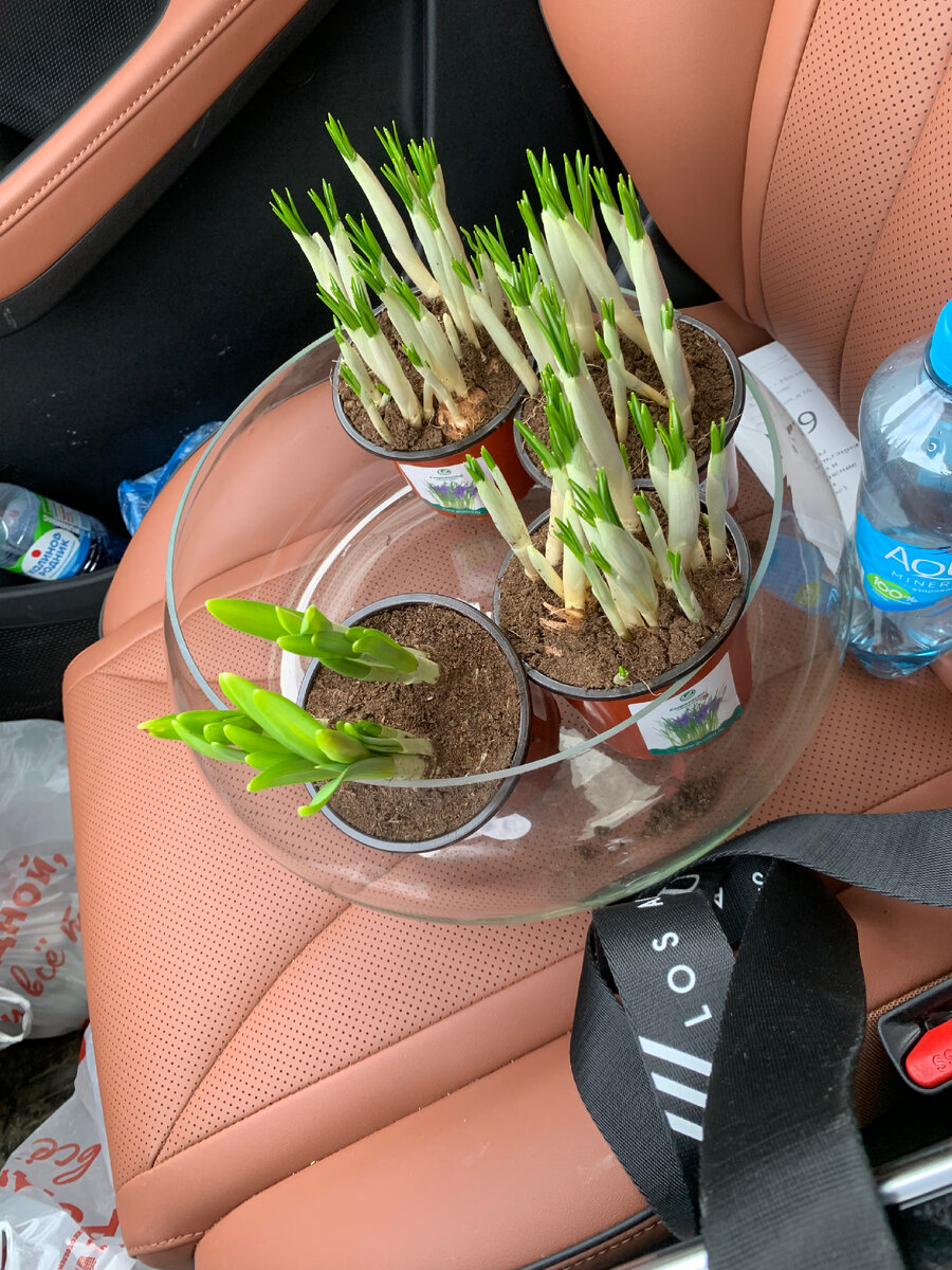 В пакете еще дренаж и грунт