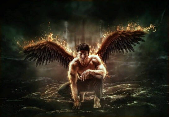 Фото с открытых источников.