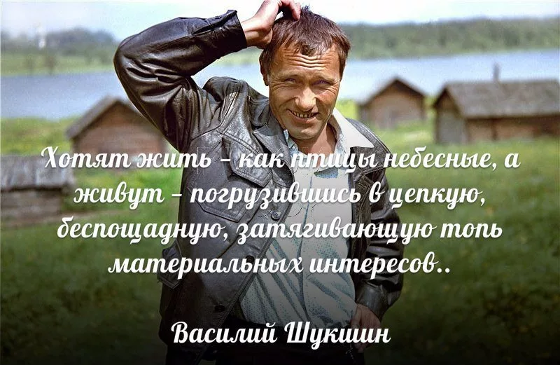 Живи долго живи хорошо. Шукшин цитаты и афоризмы. Высказывания Шукшина. Шукшин афоризмы цитаты фразы.