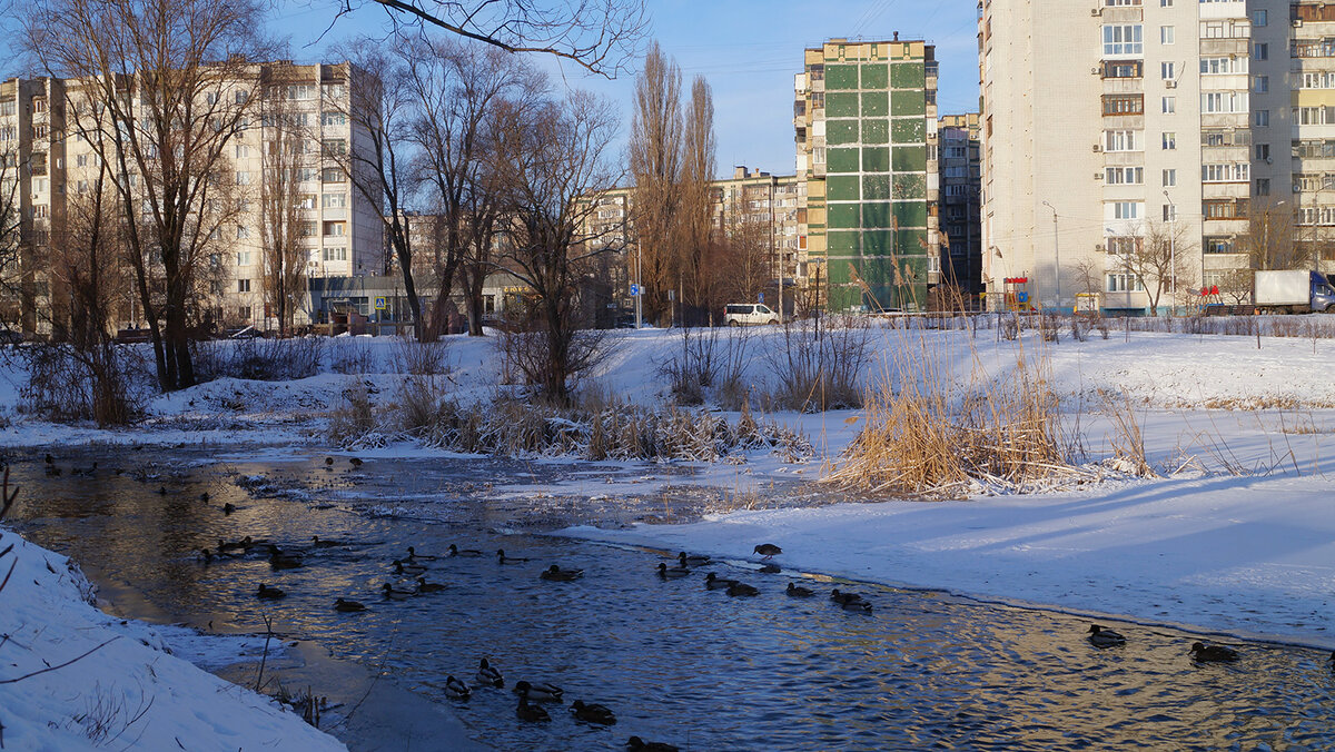 Занять в белгороде
