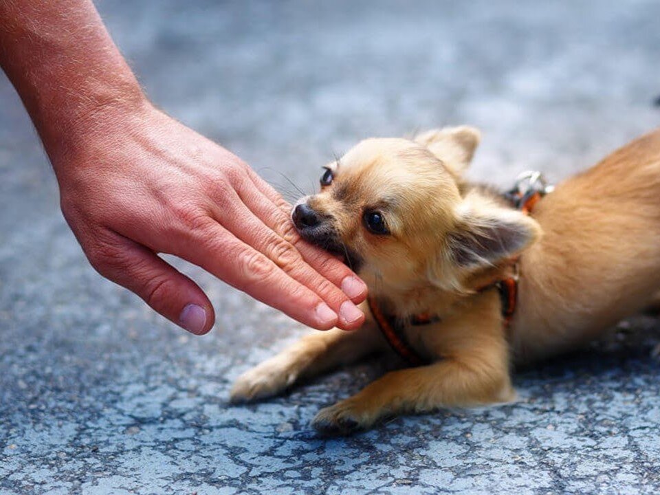 Рики: спасибо, что здоров