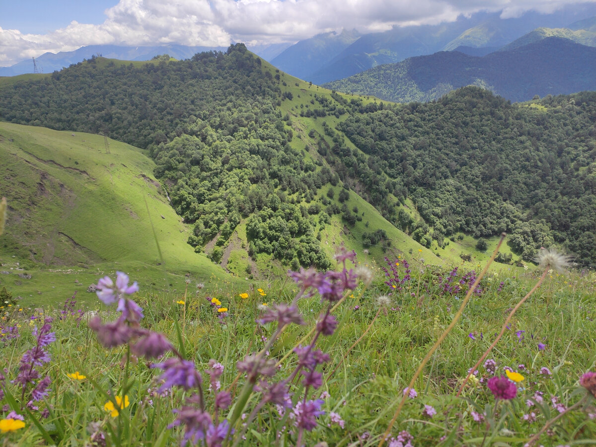 Фото автора. Ингушетия,июль 2023