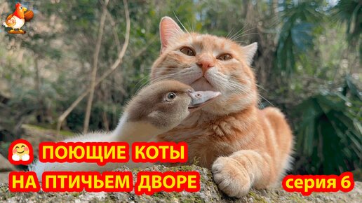 Крутые Коты на птичьем дворе часть 6 🤗 Природа Абхазии и красивое подворье с птицами и животными 🥰