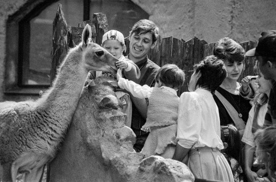    Фото: Главархив Москвы