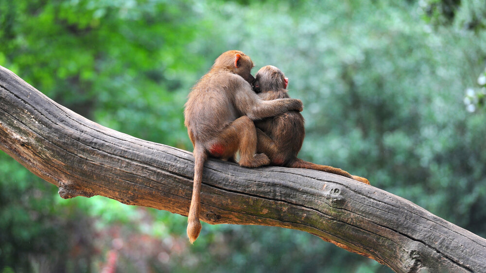    Фото: Shutterstock.com