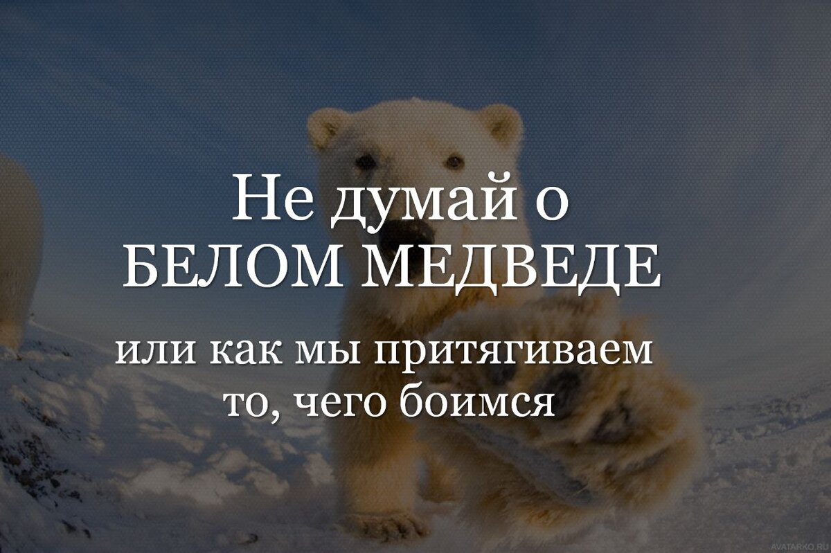 Эффект белого медведя, или как мы сами притягиваем к себе то, чего боимся |  Т-ИГРЫ КАК ИСКУССТВО с Оксаной Полещук | Дзен