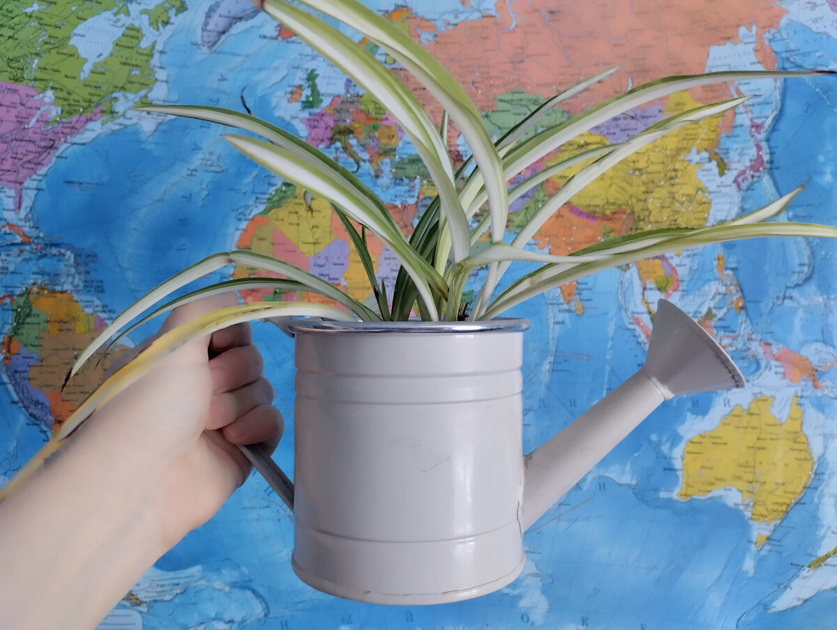 Я буду поливать, удобрять и нежно растить свой маленький канальчик )))