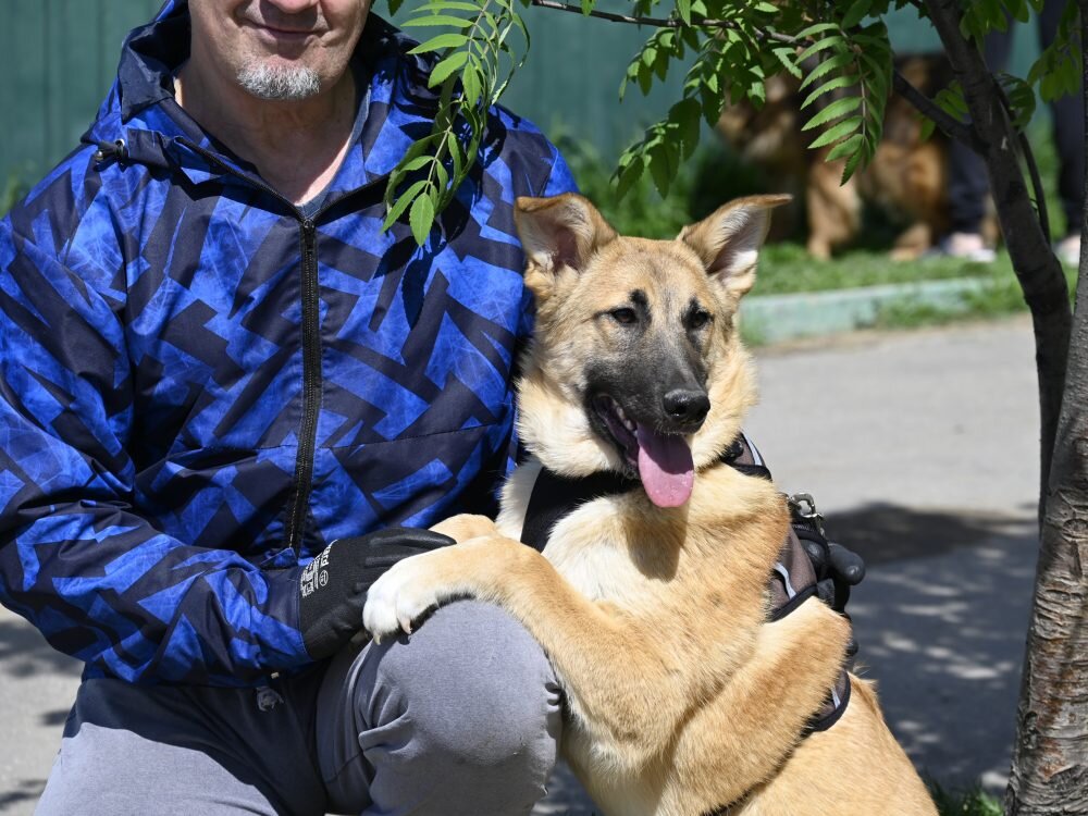 Фото Герды еще в Кожуховском приюте. Ей здесь всего 8 месяцев.