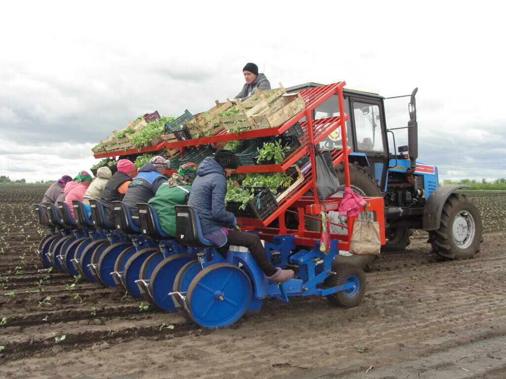 Фото Фариды Якушевой