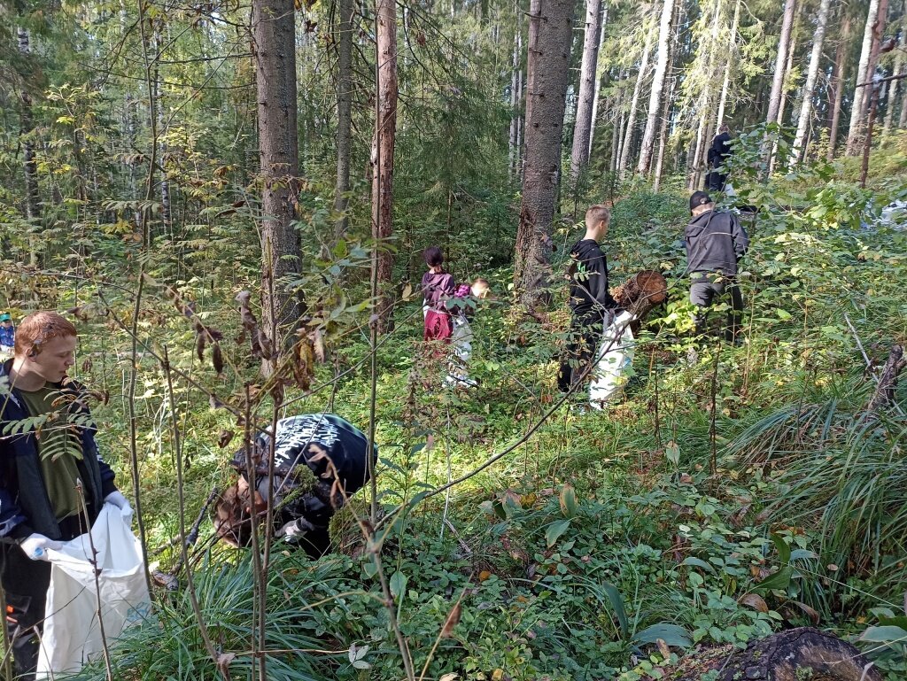 Стыдно, когда видно мусор. Проект Экослед Калашниково Тверской области успешно заявился на нацпремию
