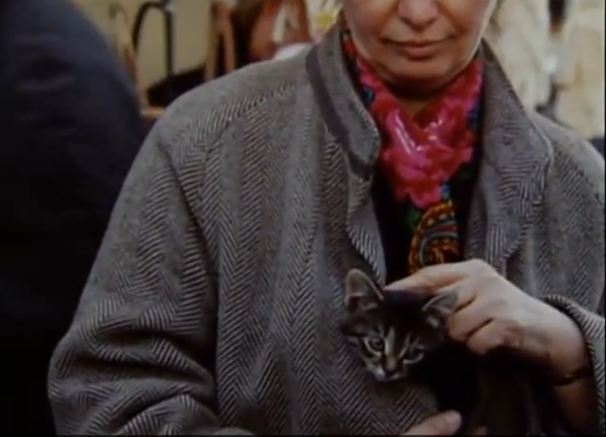 кадр из фильма