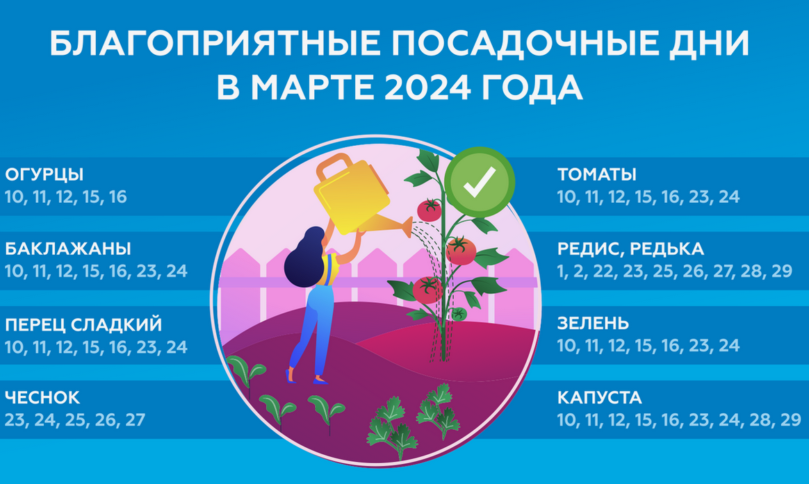 21 февраля 2024 какой лунный день