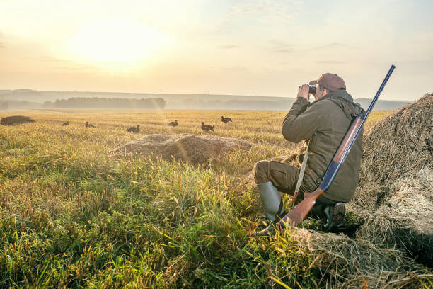 Не видать конца и края - только синь сосёт глаза (istockphoto.com)