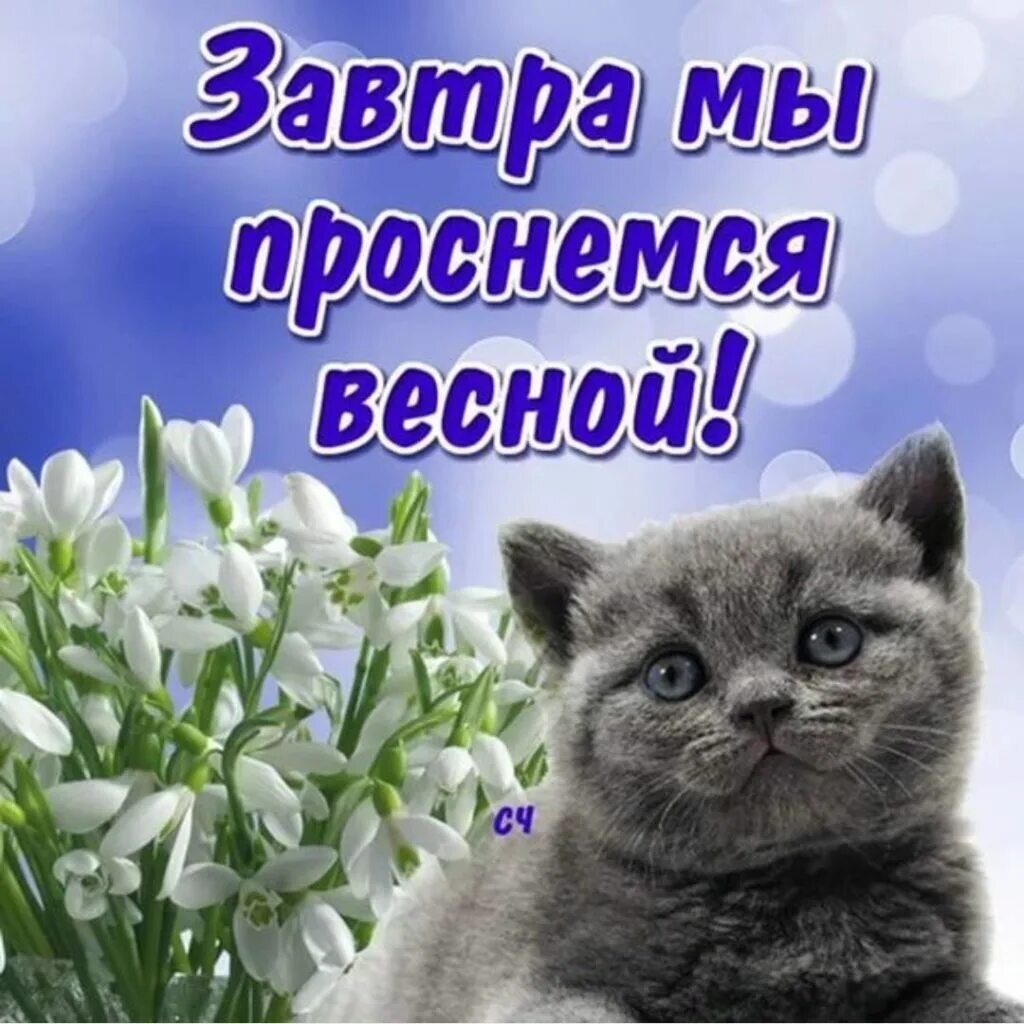 Открытка из просторов интернета.