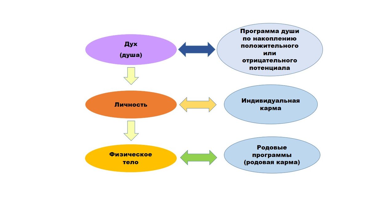 Схема программ, управляющих телом и судьбой человека, без учёта паразитических программ или эгрегоров, к которым есть подключение