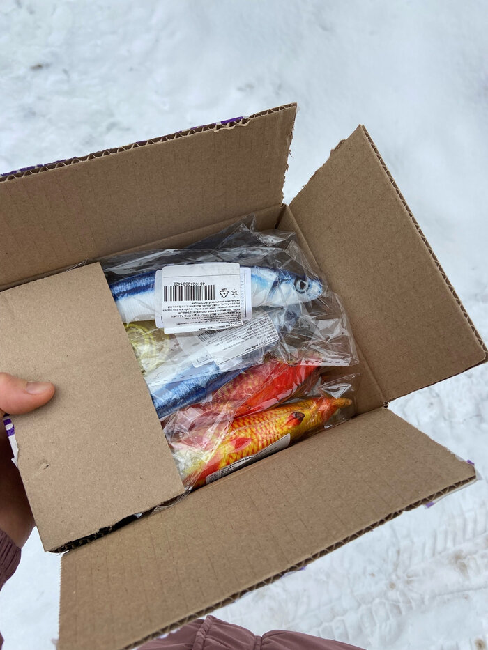 Листайте вправо, чтобы увидеть больше изображений