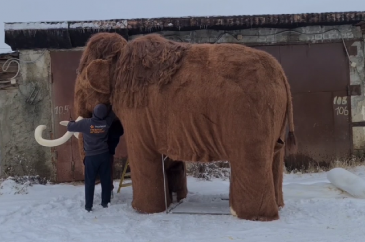    Косплеер из Якутии выгуливал «мамонта» по ночному городу