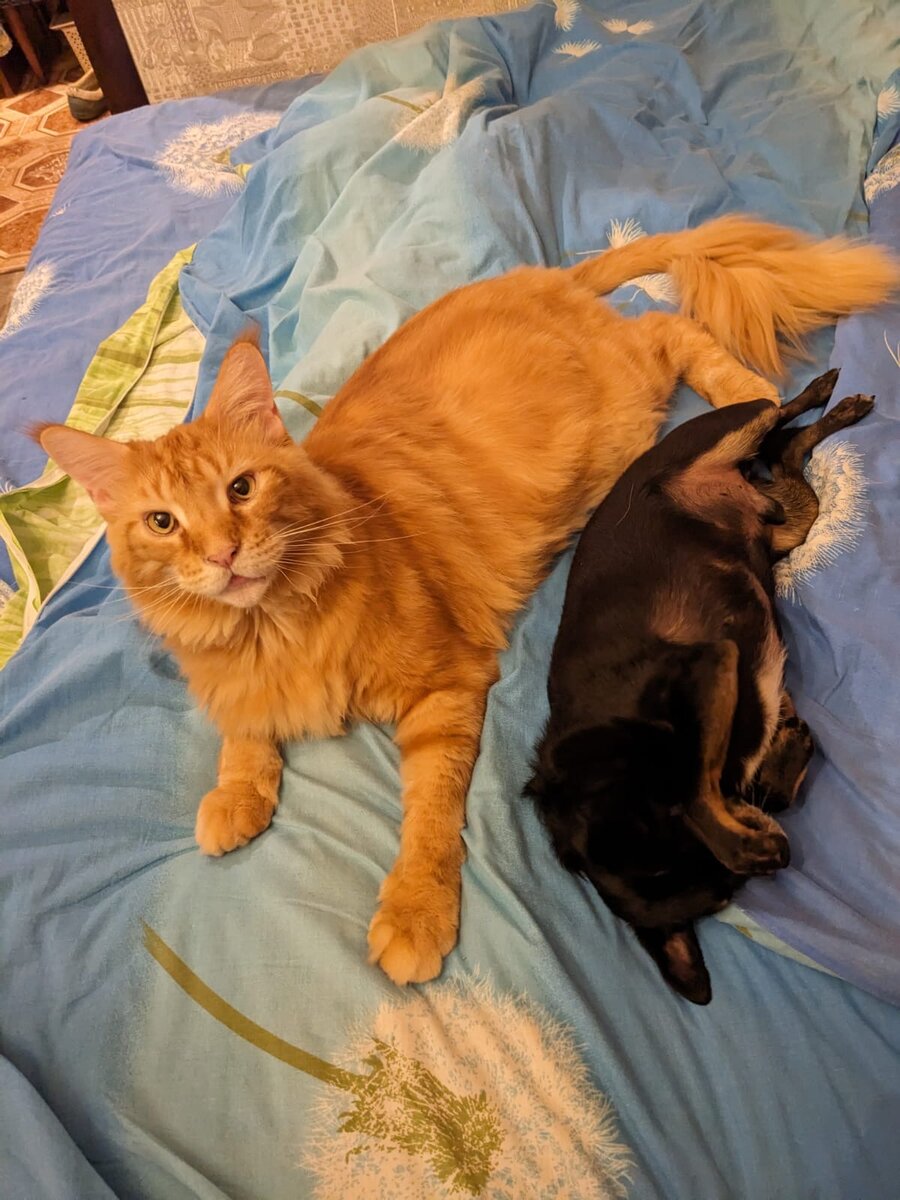 мои пацаны любимые, никому не отдам