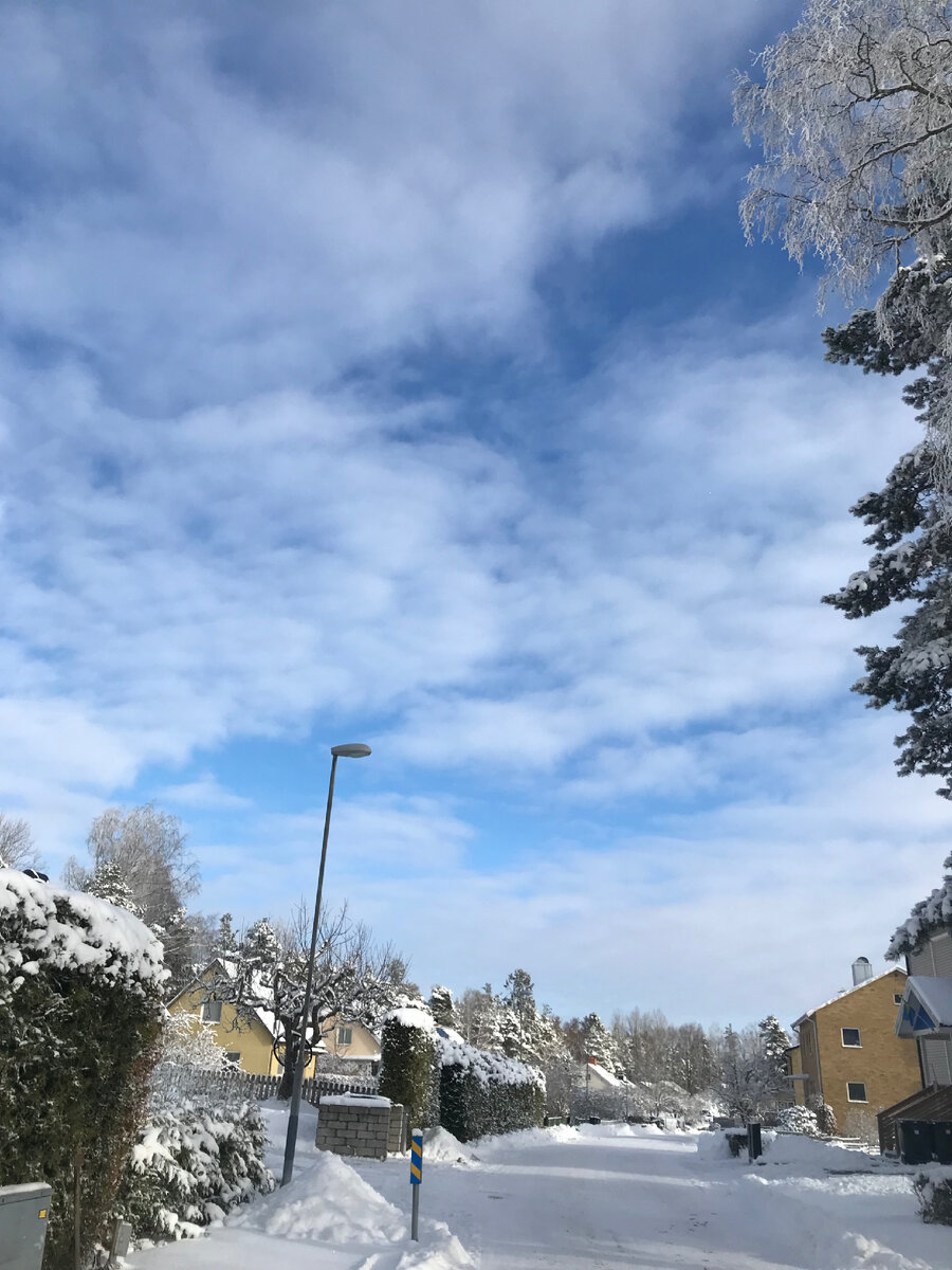 Фото из личного архива 