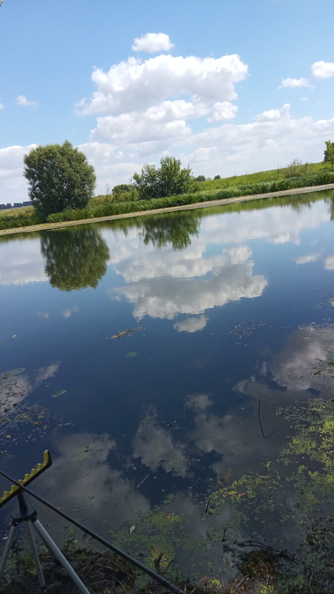 Водные просторы Курского края..река СЕЙМ. | Мой сад-огородик! И много  интересного!! | Дзен