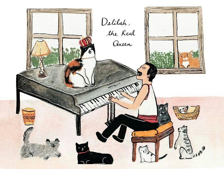 Фото из доступных интернет-ресурсов