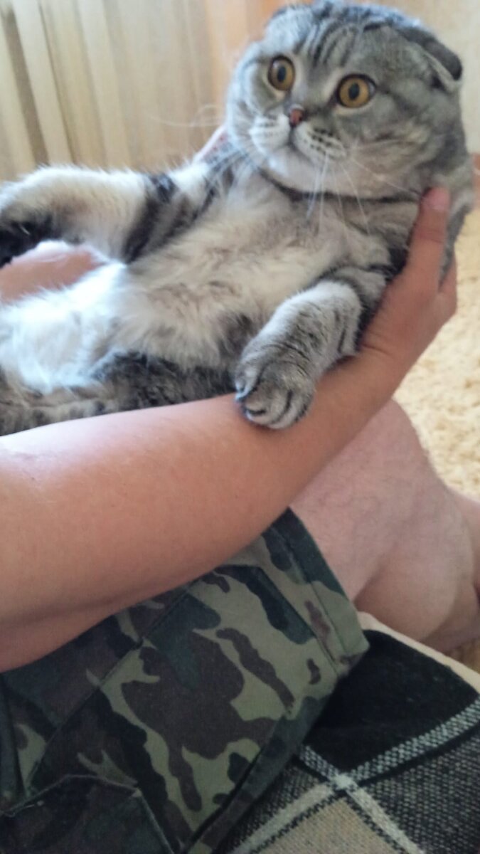 Фото из архива автора. Шелли обалдела от предложенных ей радостей.