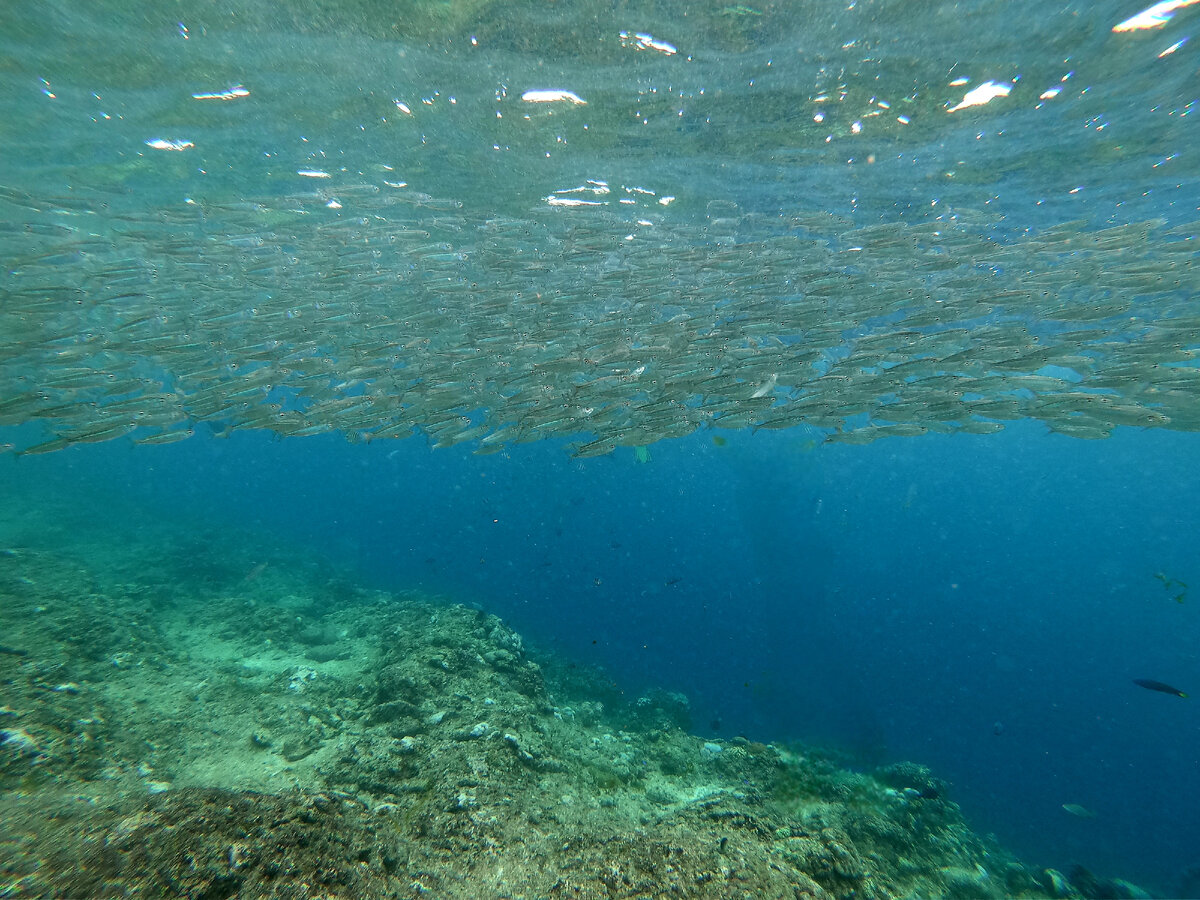 мой авторский взгляд под водой