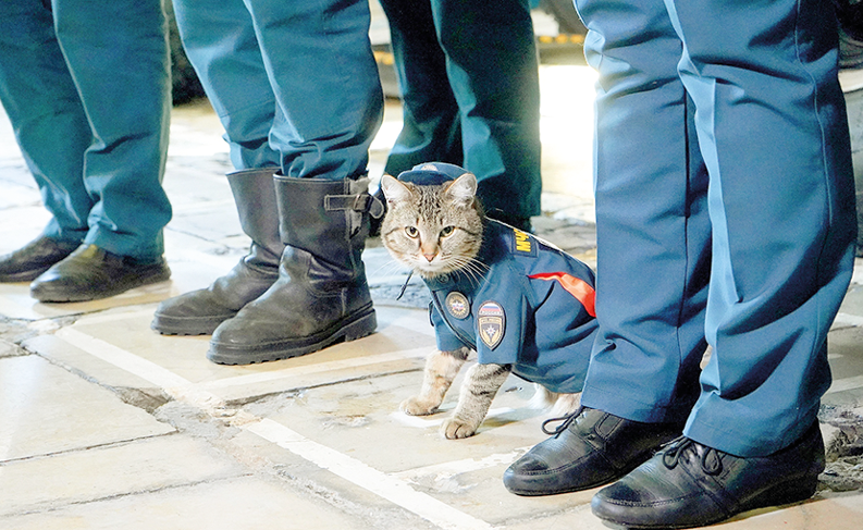 Фото: mchs.gov.ru