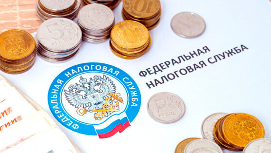    Путин поручил модернизировать налоговую систему до 2030 года Алина Городниченко