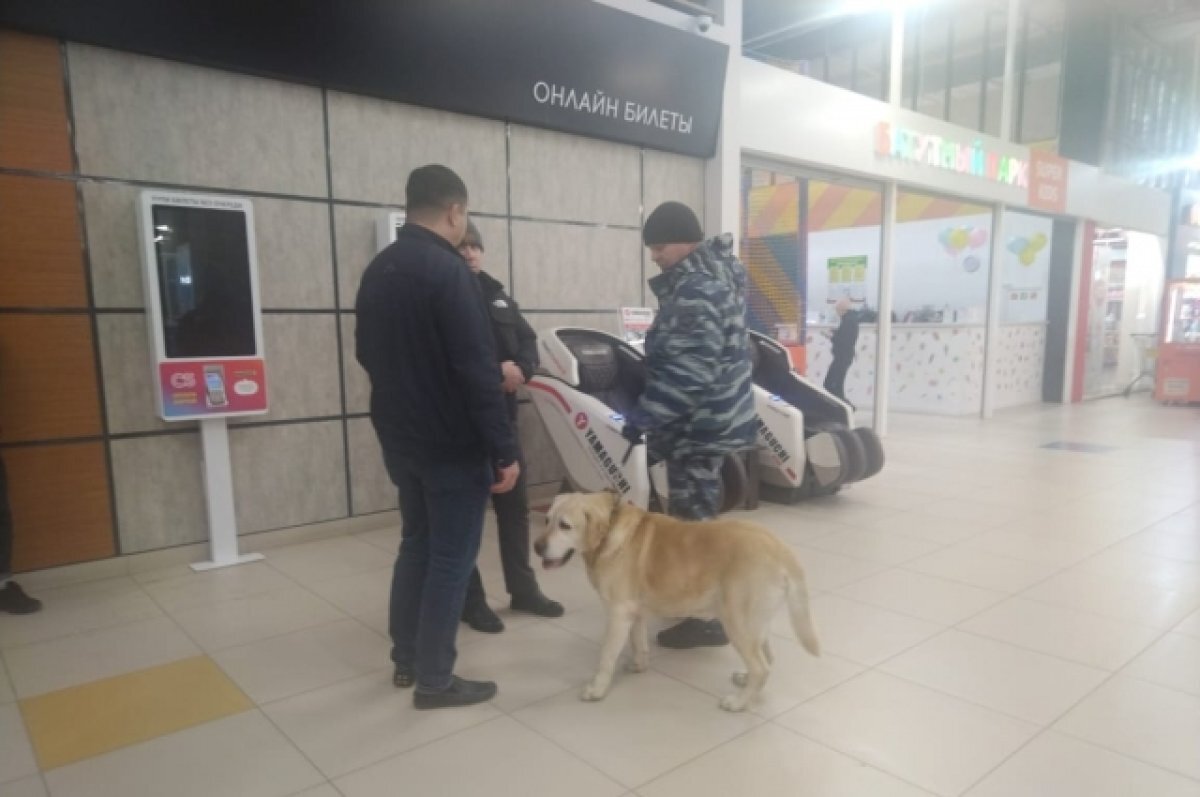    Послание Путина в кинотеатре Уфы не показали, но приехал кинолог с собакой