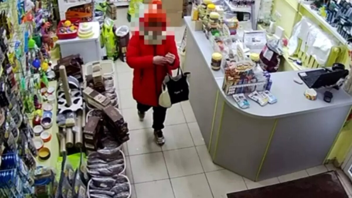     Женщину из Ижевска задержали по подозрению в краже из торгового зала зоомагазина.