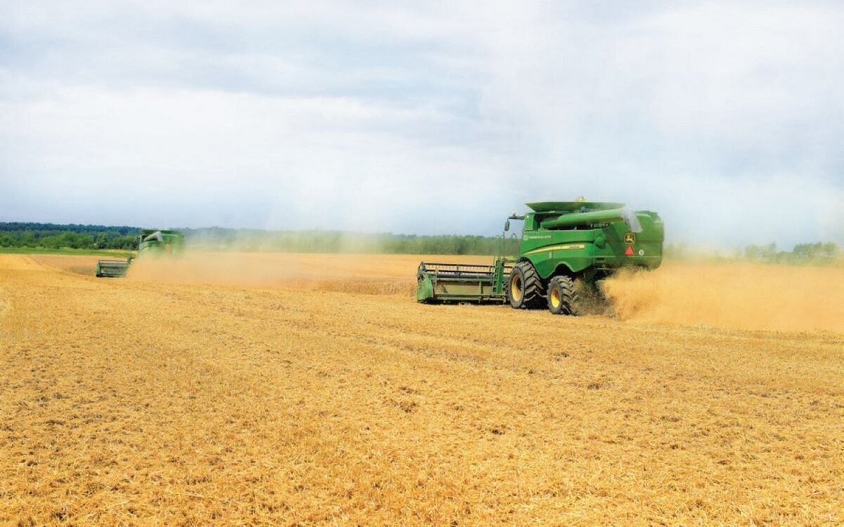    Воронежская структура «Авангард-Агро» возьмет в кредит 2 млрд рублей Фото с сайта компании «Авангард-Агро»