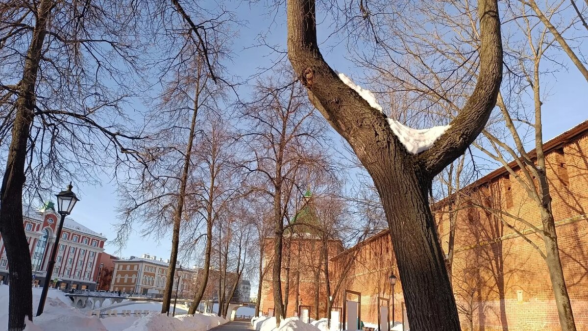     Календарная весна наступит в Нижегородской области с теплой погоды. Температура воздуха будет держаться на отметке +2 градуса. Такой прогноз NewsNN озвучила начальник отдела метеопрогнозов ФГБУ «Верхне-Волжское УГМС» Ольга Мокеева.
