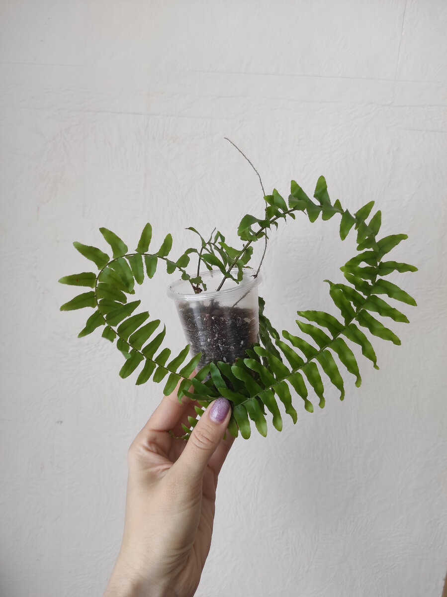 Дари добро💚