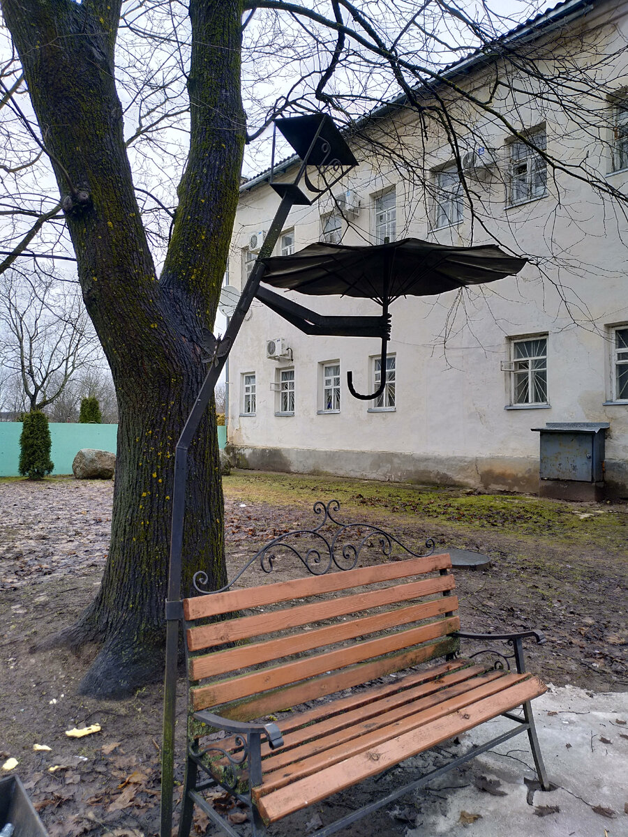 Сегодня в Опочке