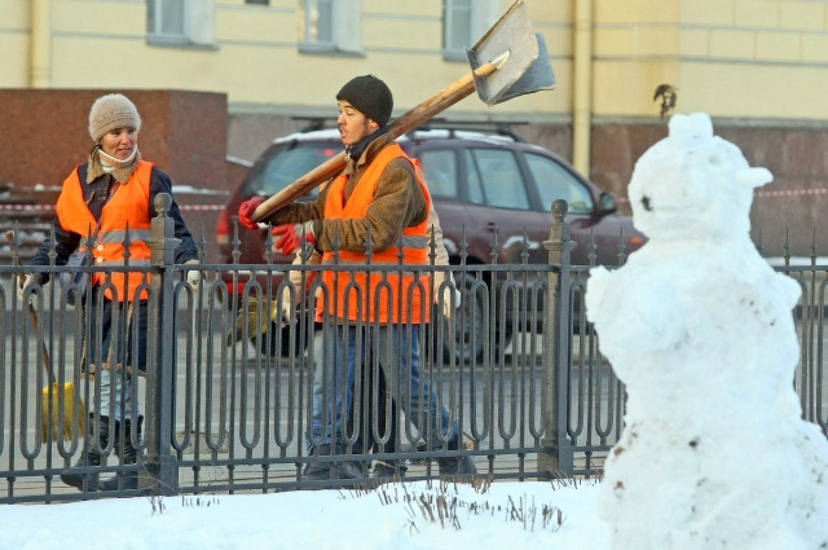 Где взять дворников? В Петербурге всё ещё не хватает рабочих рук | АиФ –  Санкт-Петербург | Дзен