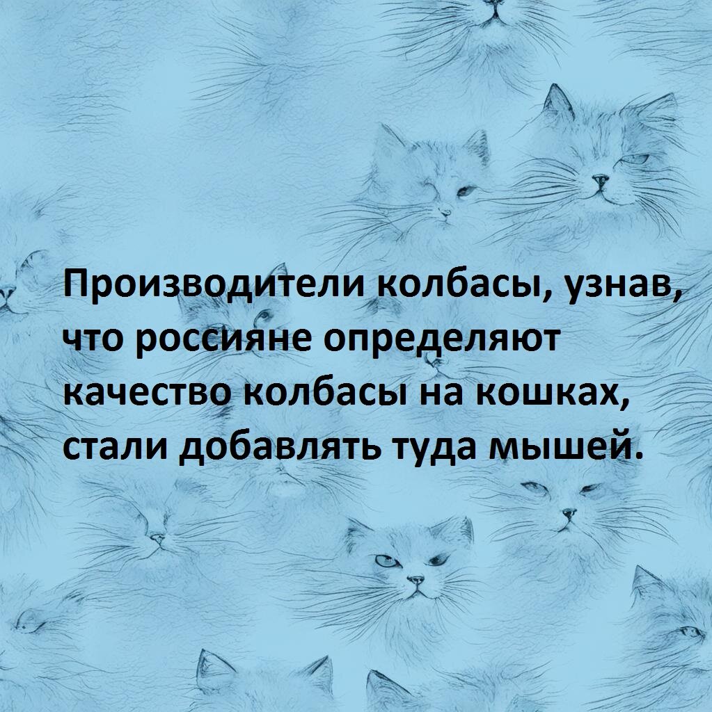 С Днем Кота! Карикатуры, анекдоты, смешные истории | Замечания на полях  чепчика. | Дзен