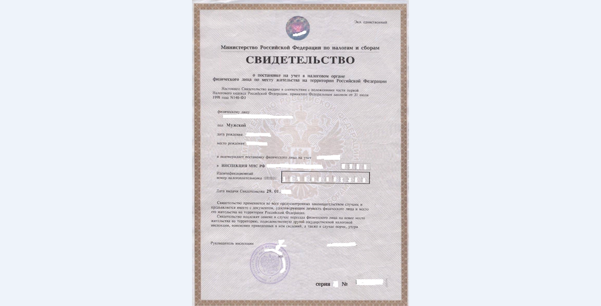 Как выглядит инн в 2025 Как выглядит ИНН (документ)? Налог-налог.ру Дзен
