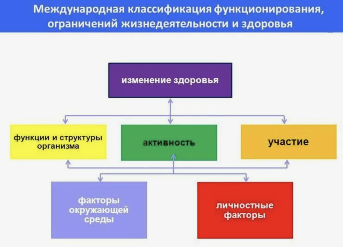 Применение МКФ в логопедической практике. | лого дети | Дзен