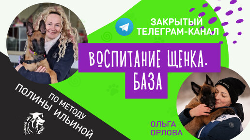 Воспитание щенка в беспроблемную собаку для жизни и надежного партнера для спортивной карьеры по методу Полины Ильиной