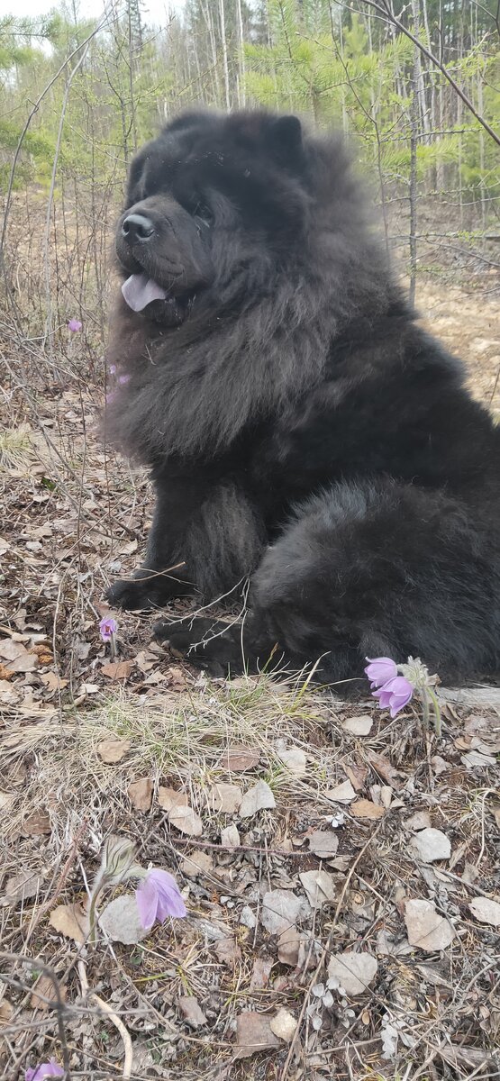 Моё 